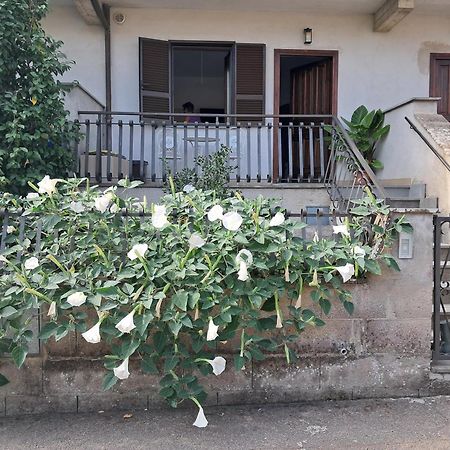 A Casa Ida Apartment บันโญเรจิโอ ภายนอก รูปภาพ