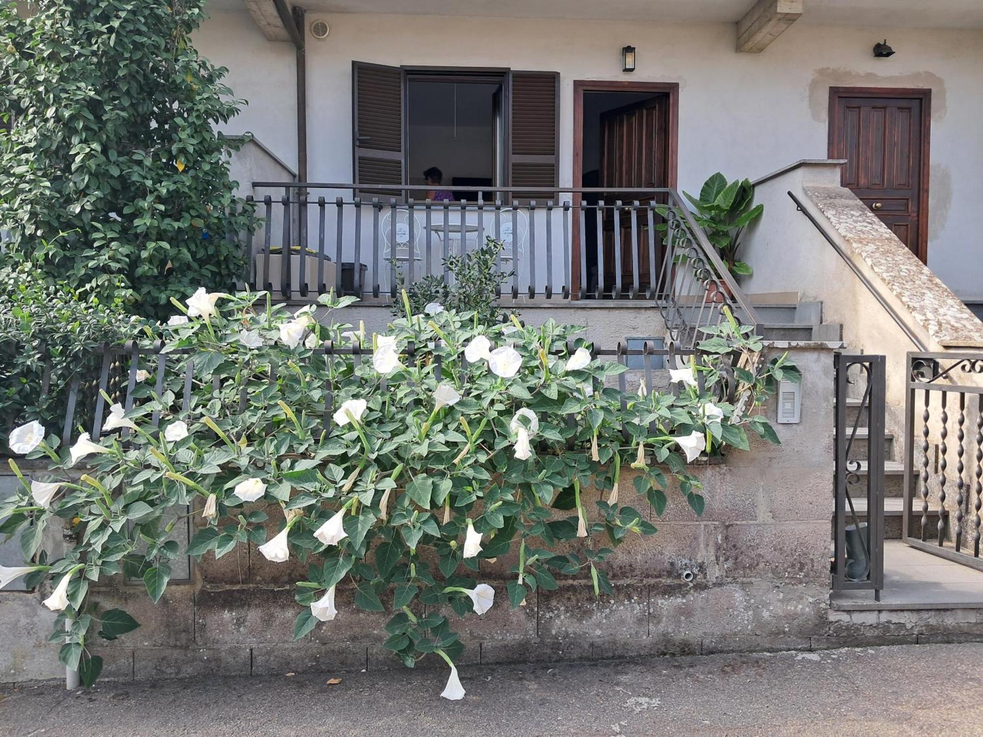 A Casa Ida Apartment บันโญเรจิโอ ภายนอก รูปภาพ